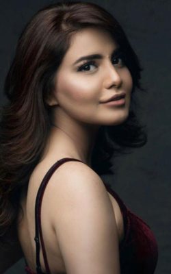 high profile Varanasi call girl